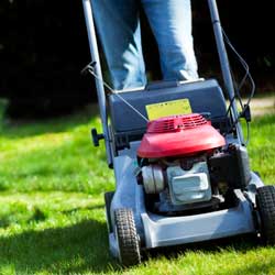 Person mowing a bright green lawn with a red push mower